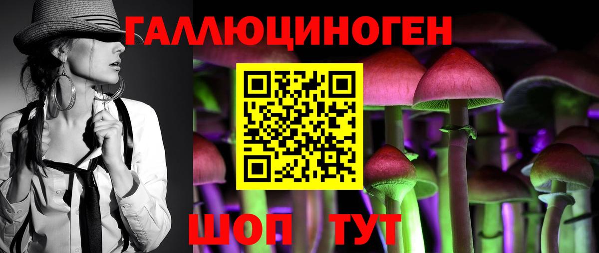 Ахтубинск  Галлюциногенные грибы прущие грибы  Вход с VPN  Псилоцибиновые грибы Cubensis 